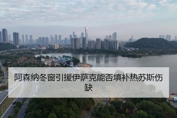 a-sen-na-dong-chuang-yin-yuan-yi-sa-ke-neng-fou-tian-bu-re-su-si-shang-que-3-925.jpg