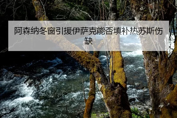 阿森纳冬窗引援伊萨克能否填补热苏斯伤缺
