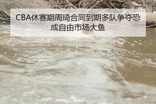 CBA休赛期周琦合同到期多队争夺恐成自由市场大鱼
