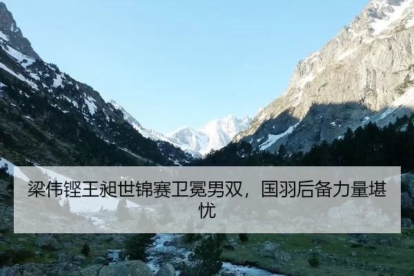 liang-wei-keng-wang-chang-shi-jin-sai-wei-mian-nan-shuang-guo-yu-hou-bei-li-liang-kan-you-2-343.jpg