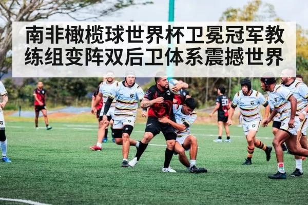 南非橄榄球世界杯卫冕冠军教练组变阵双后卫体系震撼世界