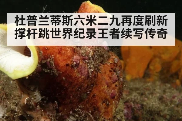 杜普兰蒂斯六米二九再度刷新撑杆跳世界纪录王者续写传奇